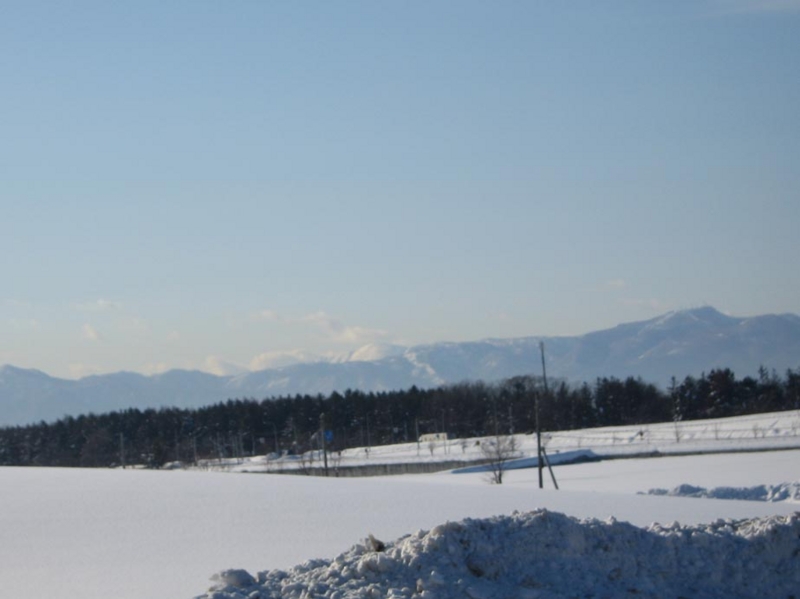 f:id:atarou:20110128070940j:image