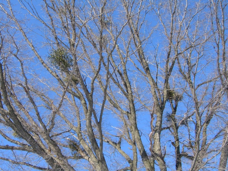 f:id:atarou:20110128070941j:image