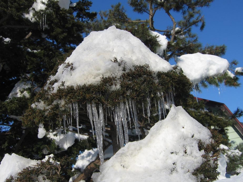 f:id:atarou:20110128112320j:image