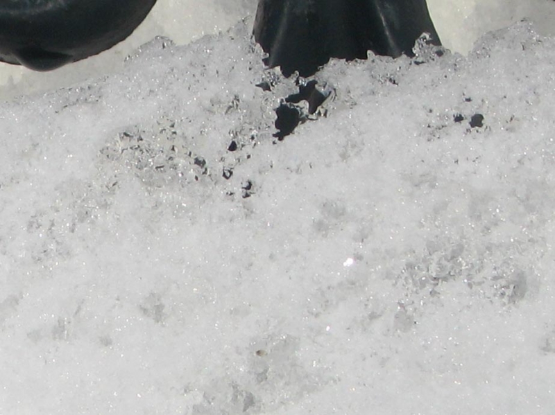 f:id:atarou:20110128112321j:image