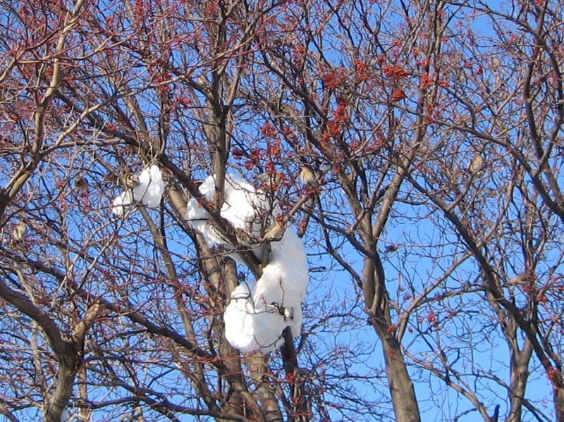 f:id:atarou:20110128112738j:image