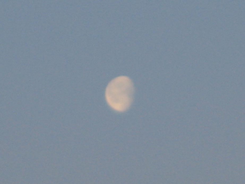 f:id:atarou:20110222191824j:image