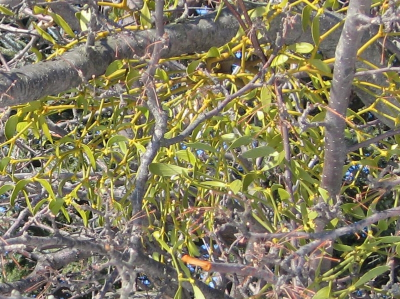 f:id:atarou:20110301174731j:image