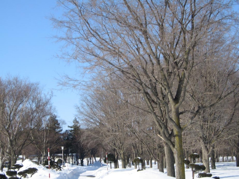 f:id:atarou:20110301175301j:image