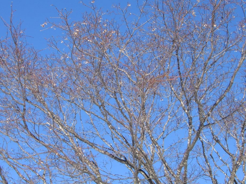 f:id:atarou:20110301175302j:image