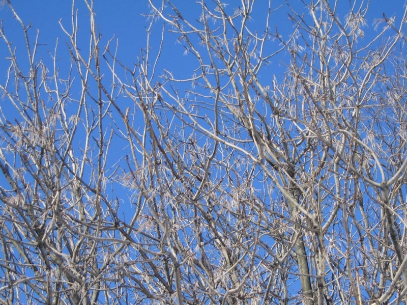 f:id:atarou:20110301175304j:image