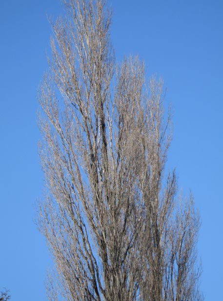 f:id:atarou:20110301175305j:image
