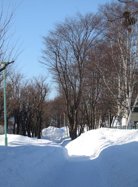 f:id:atarou:20110302064852j:image