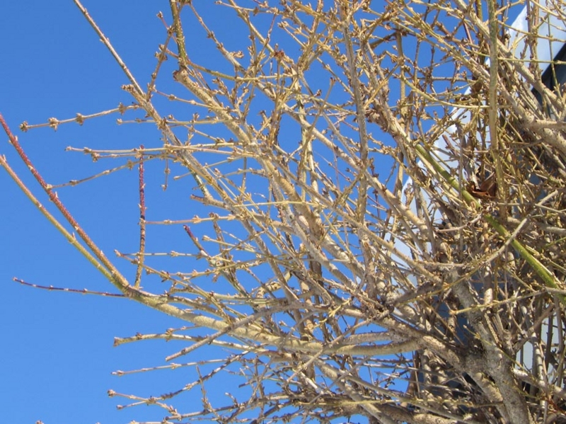 f:id:atarou:20110302064853j:image