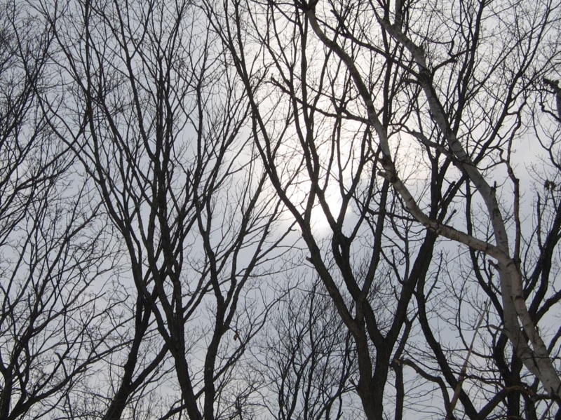 f:id:atarou:20110306191453j:image