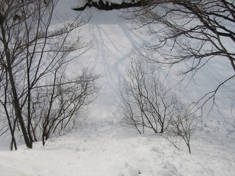 f:id:atarou:20110307070109j:image