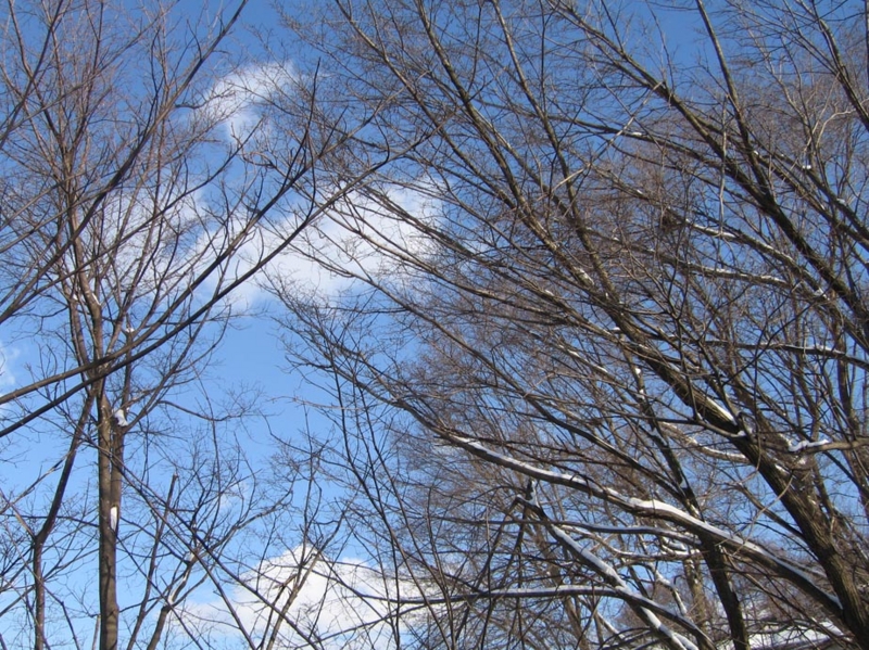 f:id:atarou:20110311064646j:image