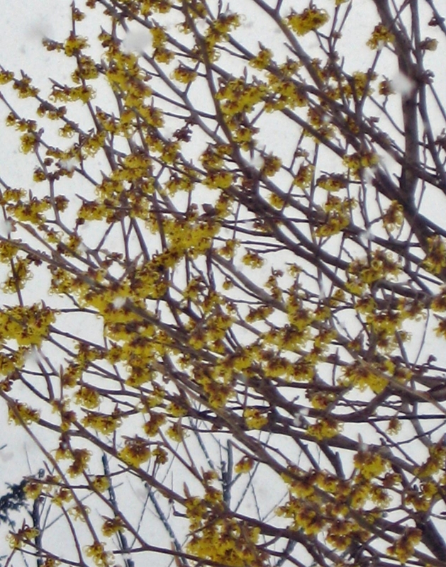 f:id:atarou:20110325175609j:image