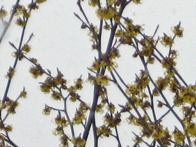 f:id:atarou:20110325191309j:image