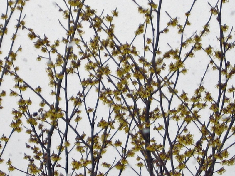 f:id:atarou:20110325191310j:image