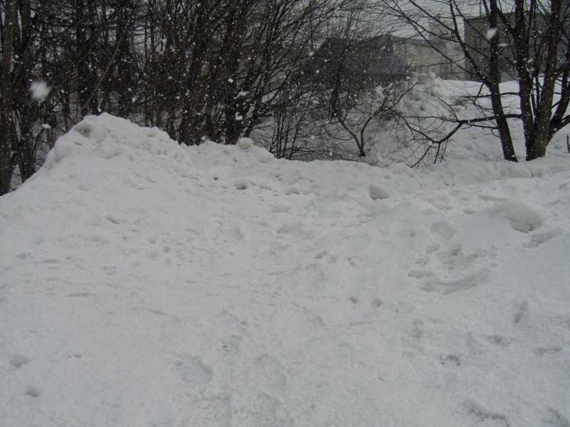 f:id:atarou:20110326064255j:image