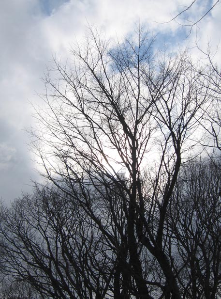 f:id:atarou:20110327063318j:image