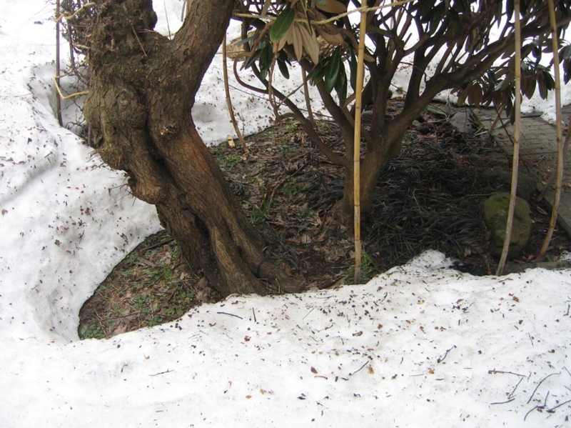 f:id:atarou:20110401071748j:image