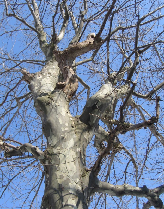 f:id:atarou:20110401190558j:image