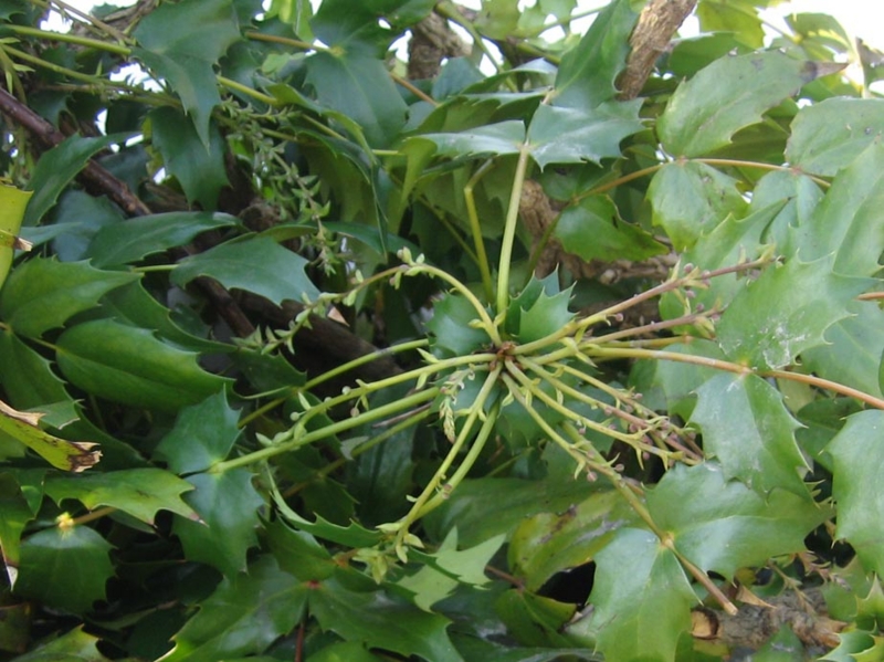f:id:atarou:20110401192936j:image