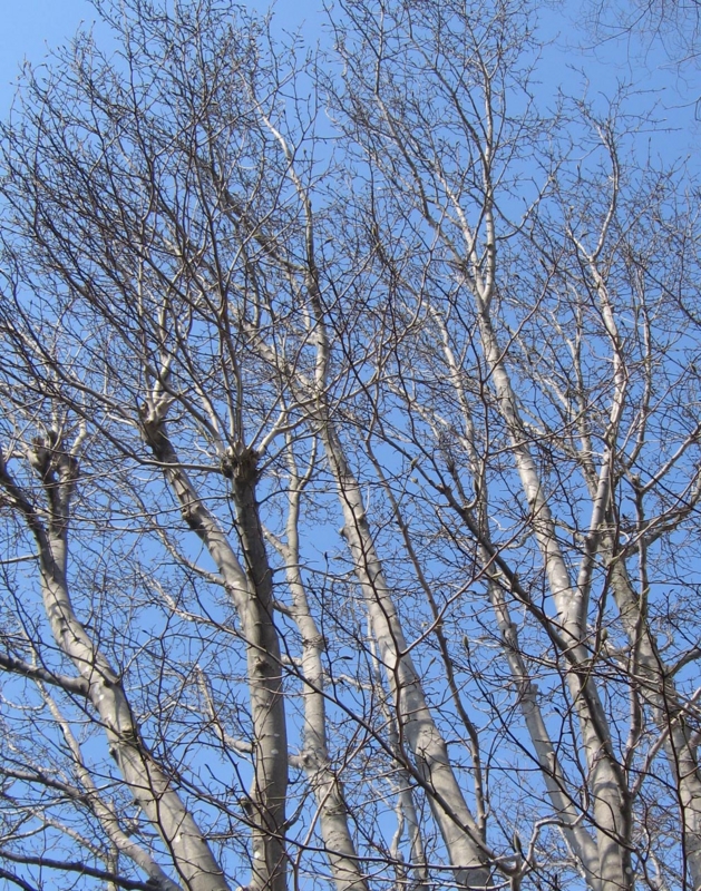 f:id:atarou:20110402060719j:image