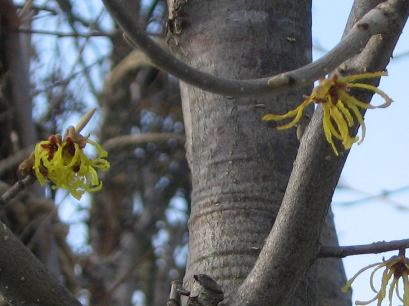 f:id:atarou:20110402063537j:image