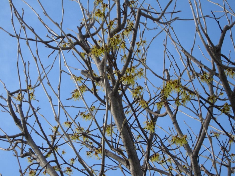 f:id:atarou:20110402063538j:image