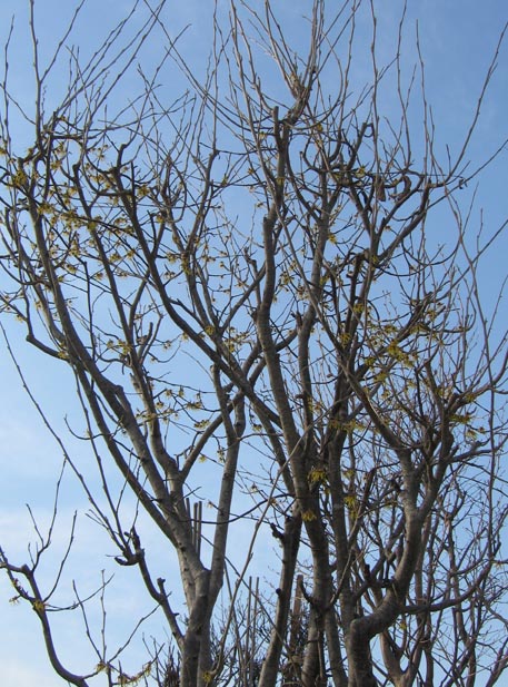 f:id:atarou:20110402063539j:image