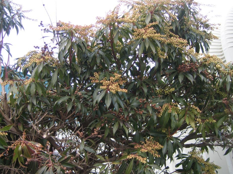 f:id:atarou:20110403062346j:image