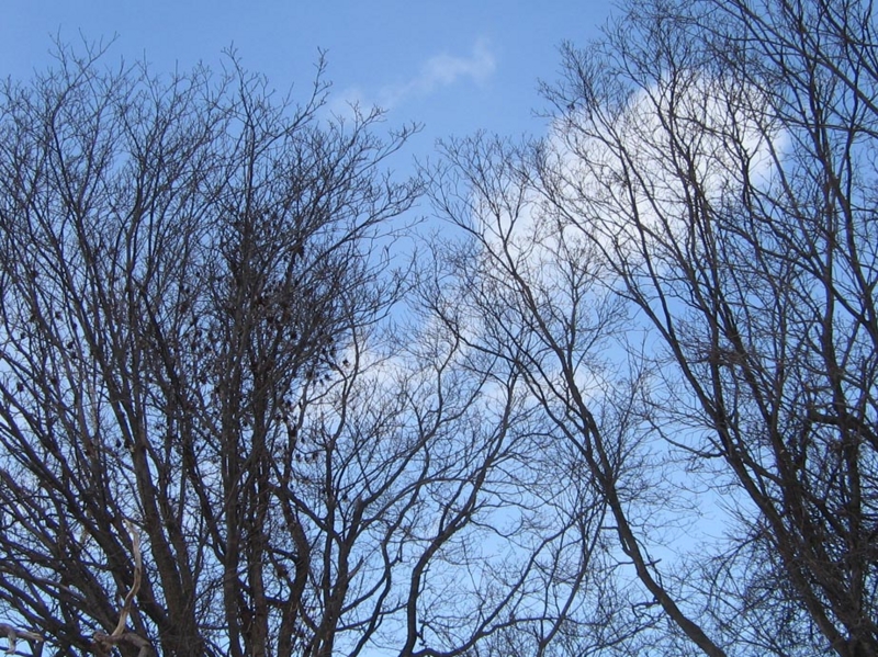 f:id:atarou:20110403063105j:image
