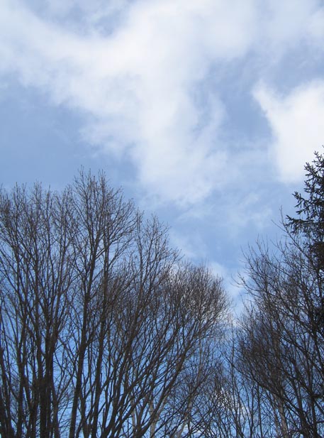 f:id:atarou:20110403063107j:image