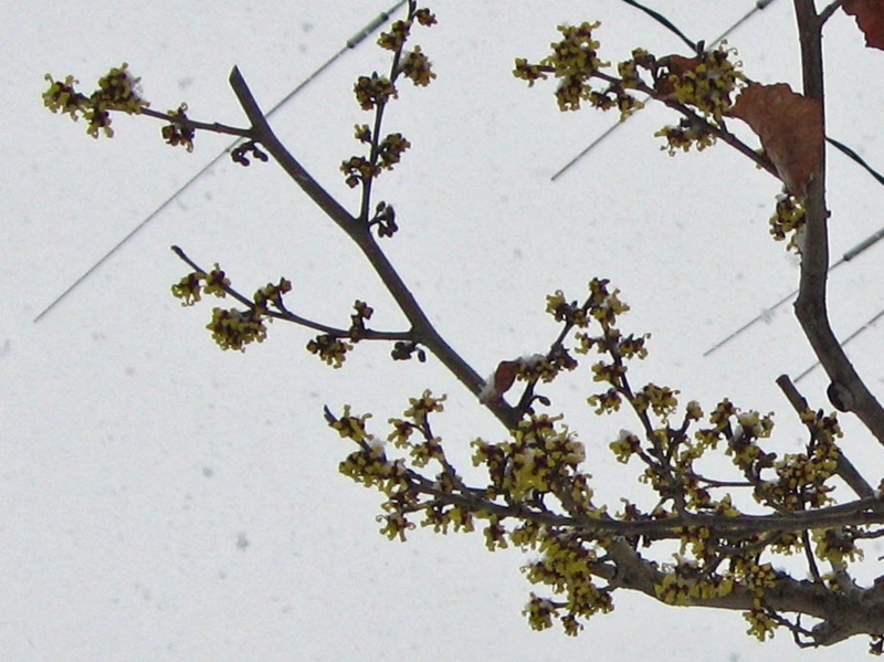 f:id:atarou:20110403164735j:image