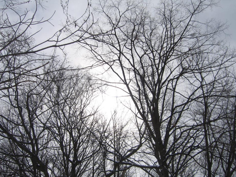 f:id:atarou:20110404063015j:image