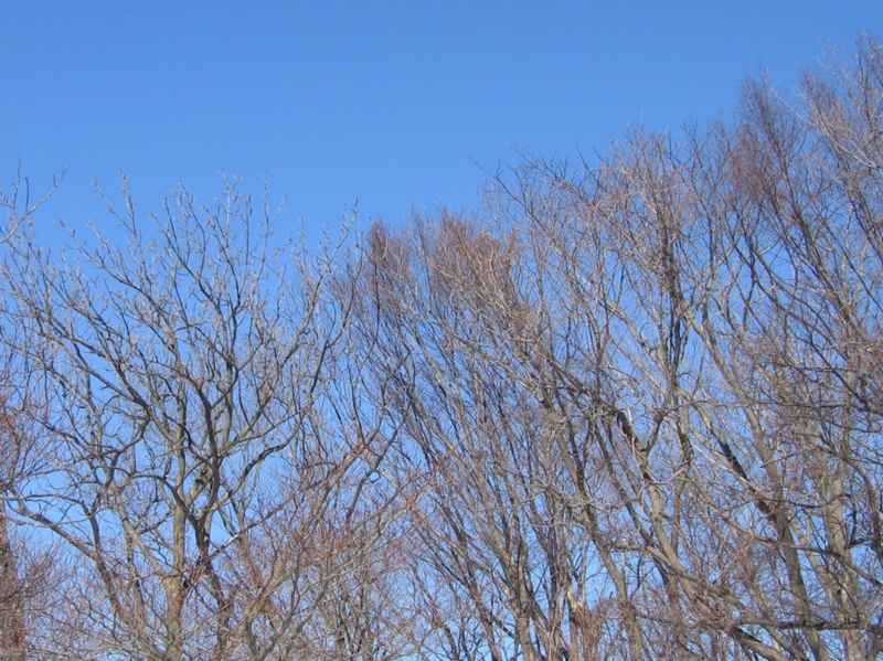 f:id:atarou:20110405055811j:image