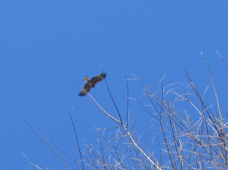 f:id:atarou:20110405060611j:image