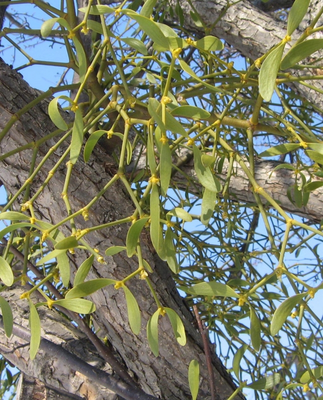 f:id:atarou:20110405171419j:image