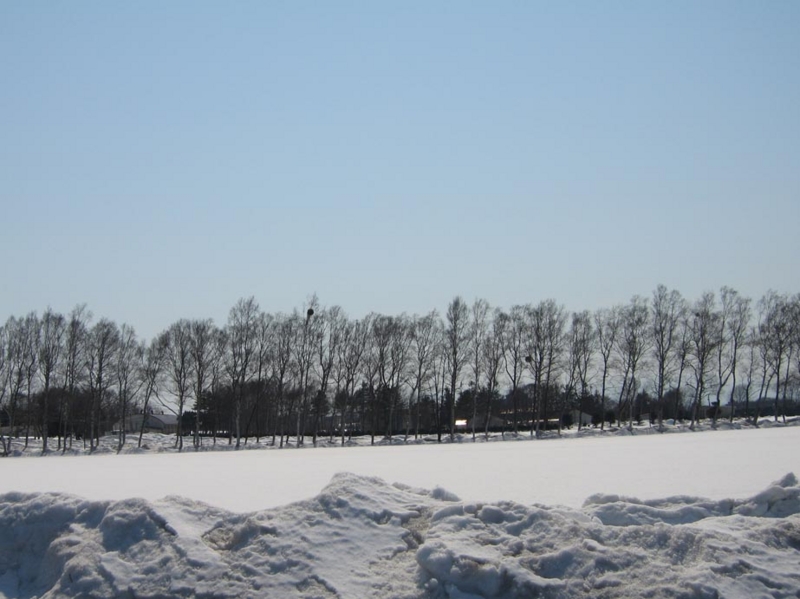 f:id:atarou:20110406060025j:image