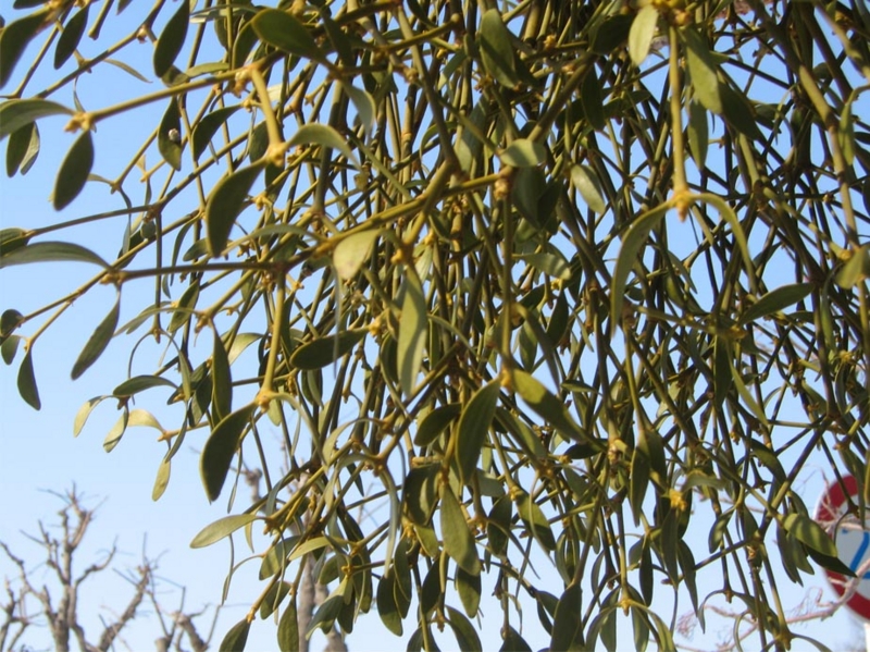 f:id:atarou:20110406062438j:image