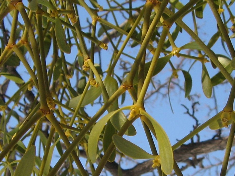 f:id:atarou:20110406063557j:image