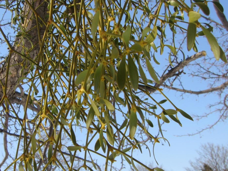 f:id:atarou:20110406064348j:image