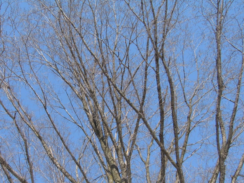 f:id:atarou:20110406162138j:image f:id:atarou:20110406162138j:image