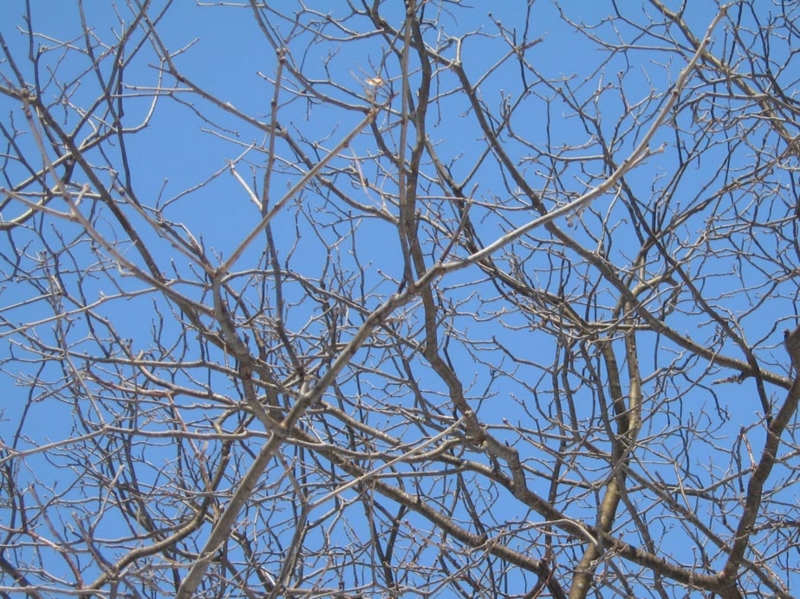 f:id:atarou:20110406162139j:image f:id:atarou:20110406162139j:image