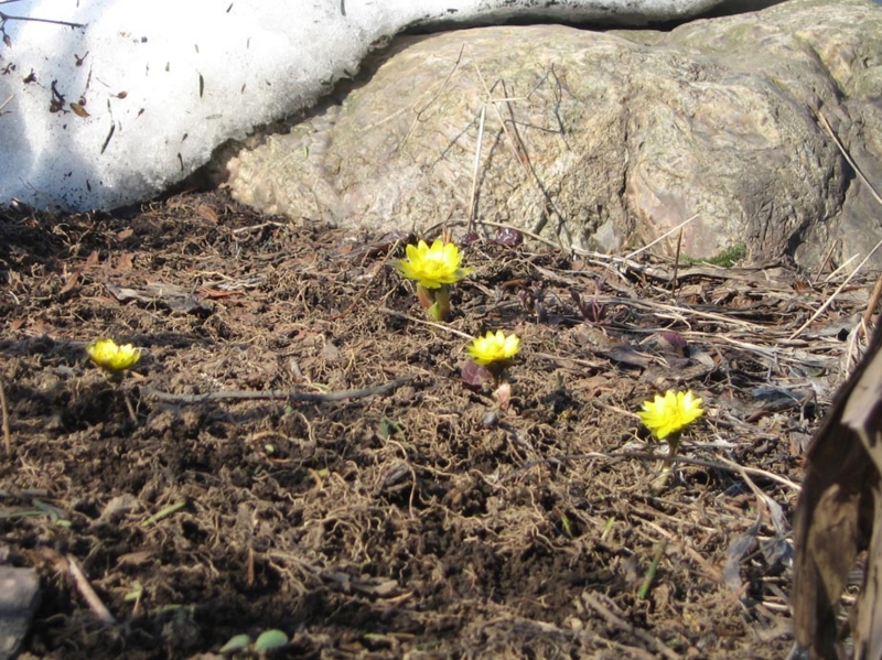 f:id:atarou:20110406162613j:image f:id:atarou:20110406162613j:image