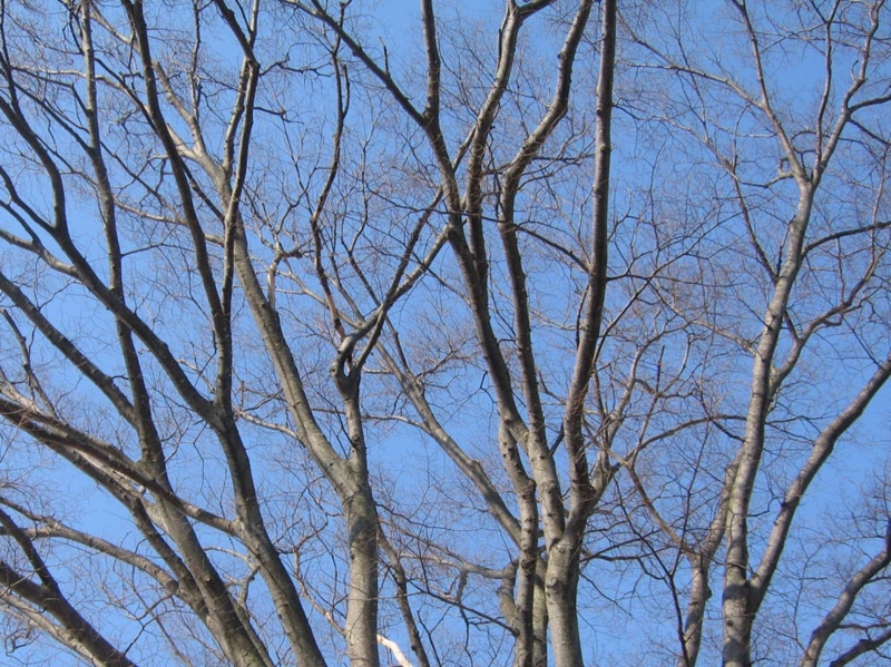 f:id:atarou:20110406193604j:image f:id:atarou:20110406193604j:image