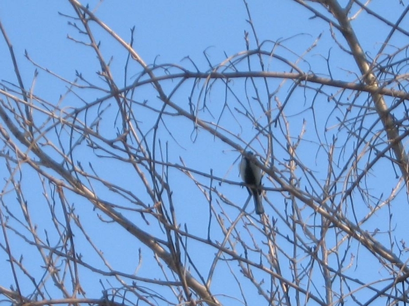 f:id:atarou:20110406193607j:image f:id:atarou:20110406193607j:image