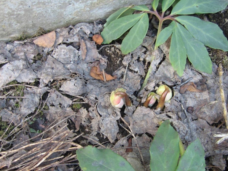 f:id:atarou:20110406194226j:image f:id:atarou:20110406194226j:image