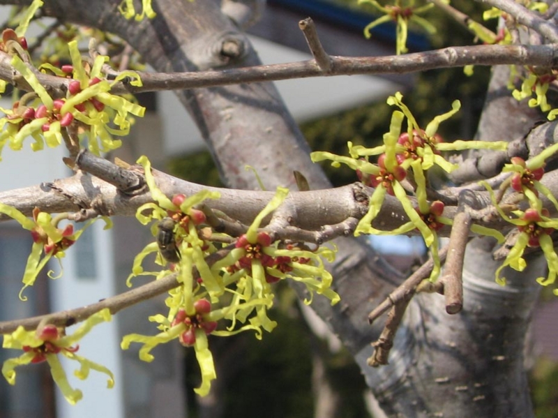 f:id:atarou:20110407060733j:image f:id:atarou:20110407060733j:image