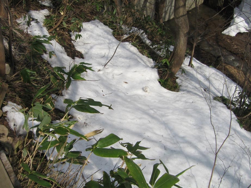 f:id:atarou:20110407210037j:image