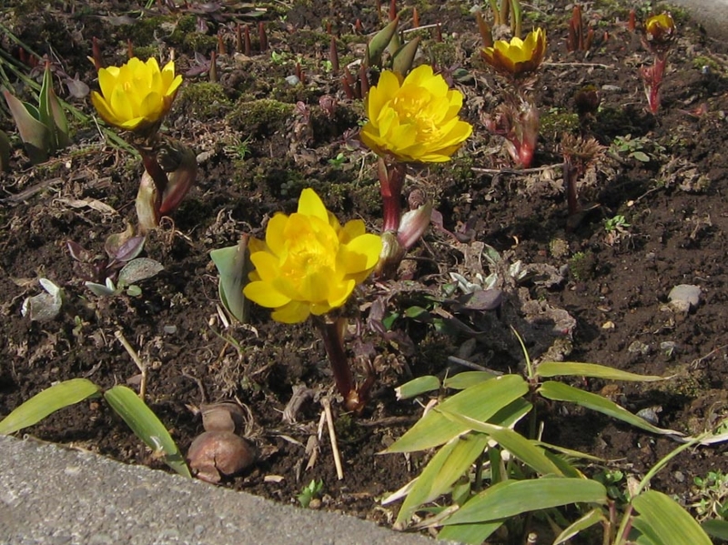 f:id:atarou:20110409052936j:image