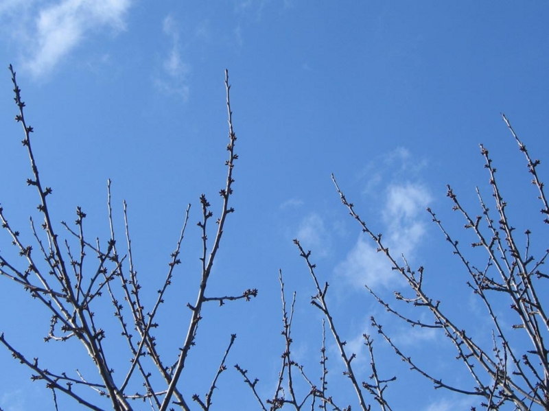 f:id:atarou:20110409053939j:image